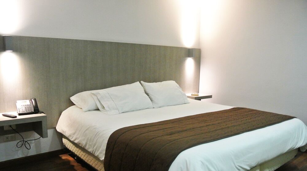 סנטיאגו Hotel Elisa Cole מראה חיצוני תמונה