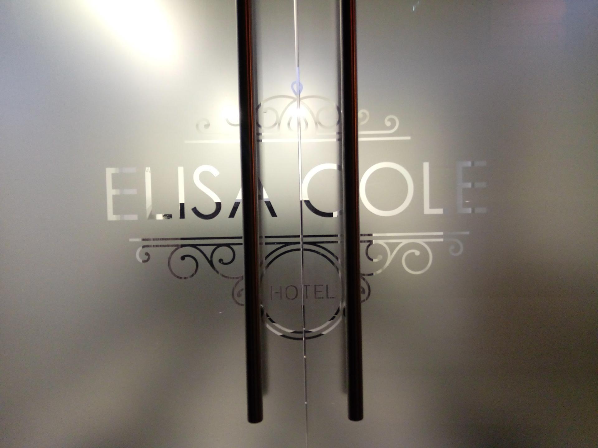 סנטיאגו Hotel Elisa Cole מראה חיצוני תמונה